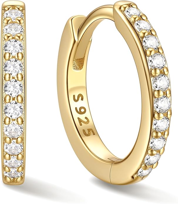 Dainty Sparkling Huggie Earrings